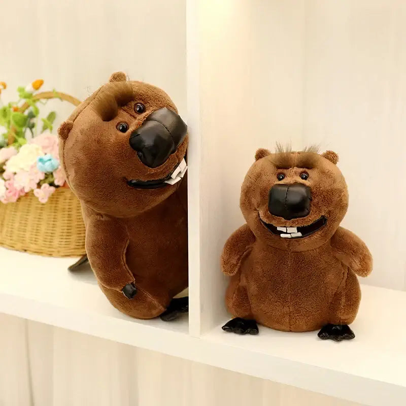 castor peluche