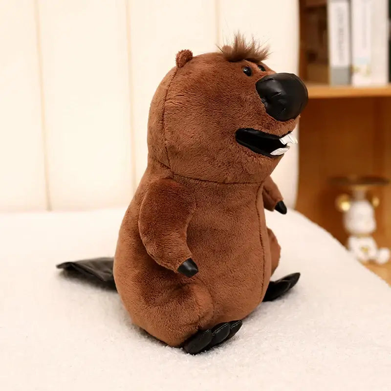 castor peluche