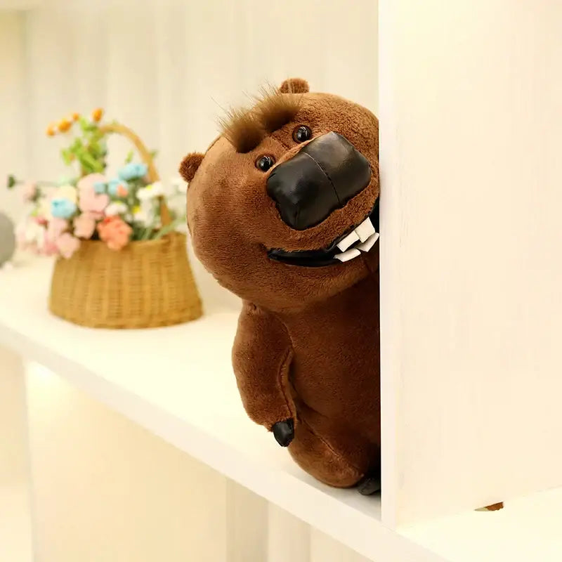 castor peluche