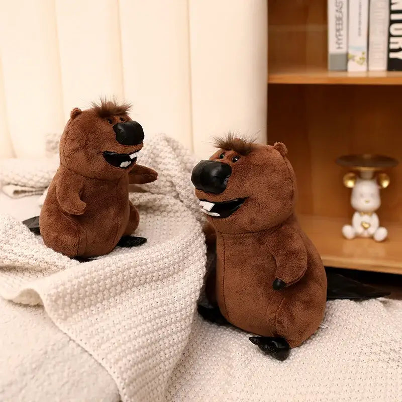castor peluche