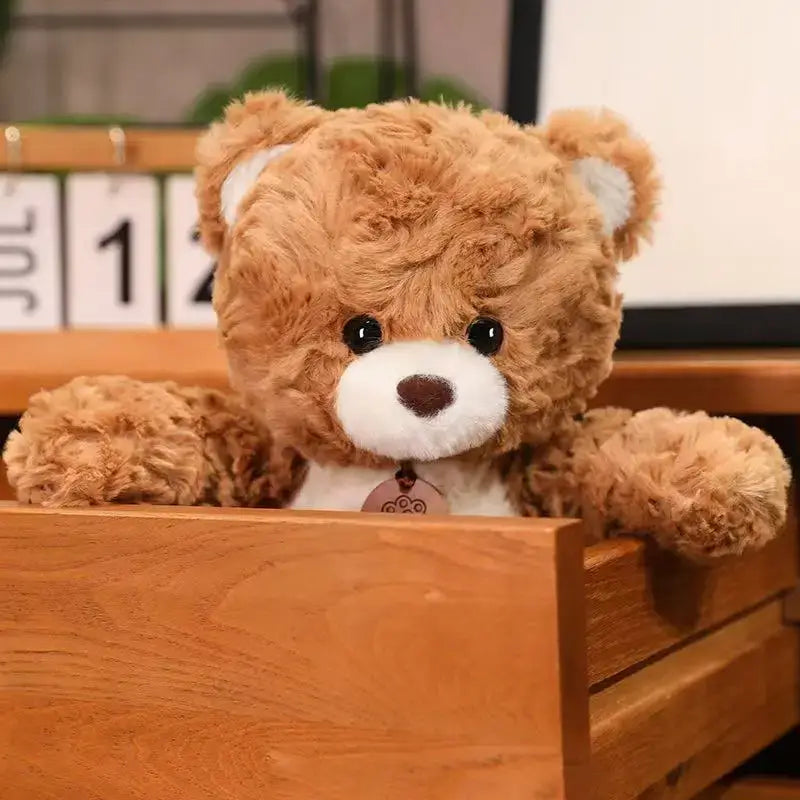 ours en peluche