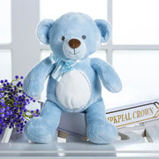 ours en peluche bleu