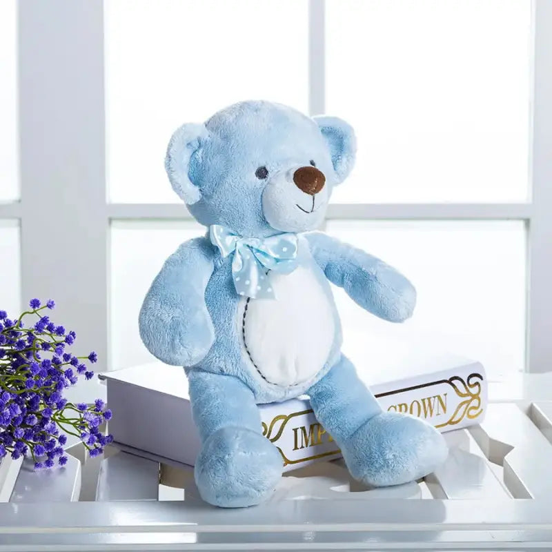 ours en peluche bleu