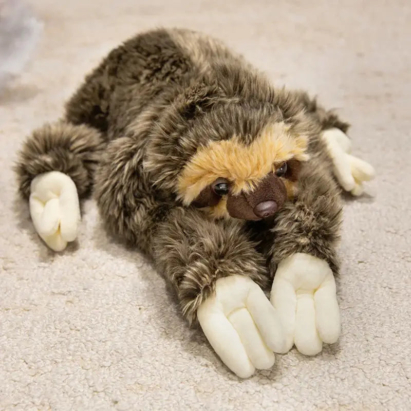 paresseux peluche