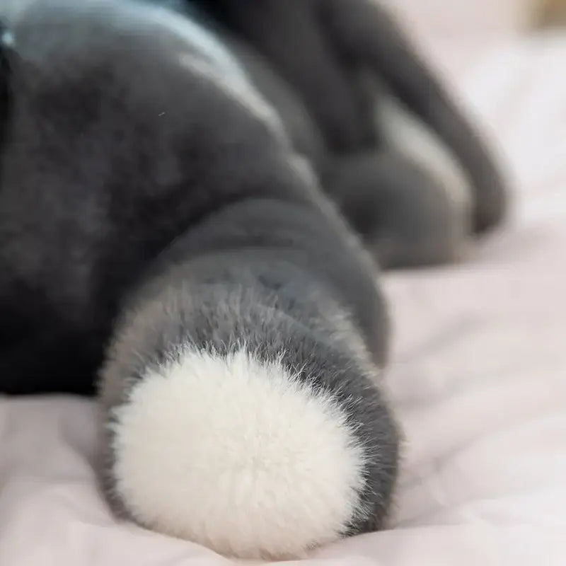 peluche ane pas cher