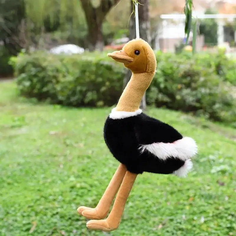 peluche autruche