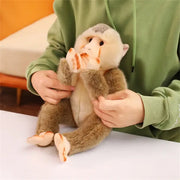 peluche babouin