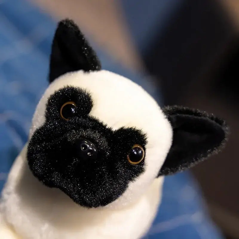 peluche bouledogue mini