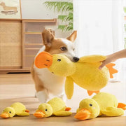 peluche canard pour chien