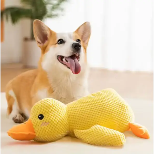 peluche canard pour chien