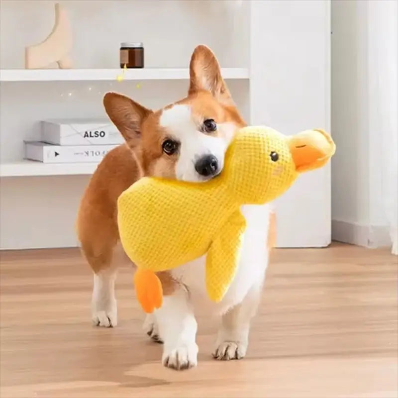 peluche canard pour chien