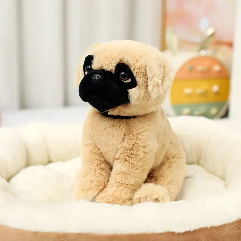 peluche carlin