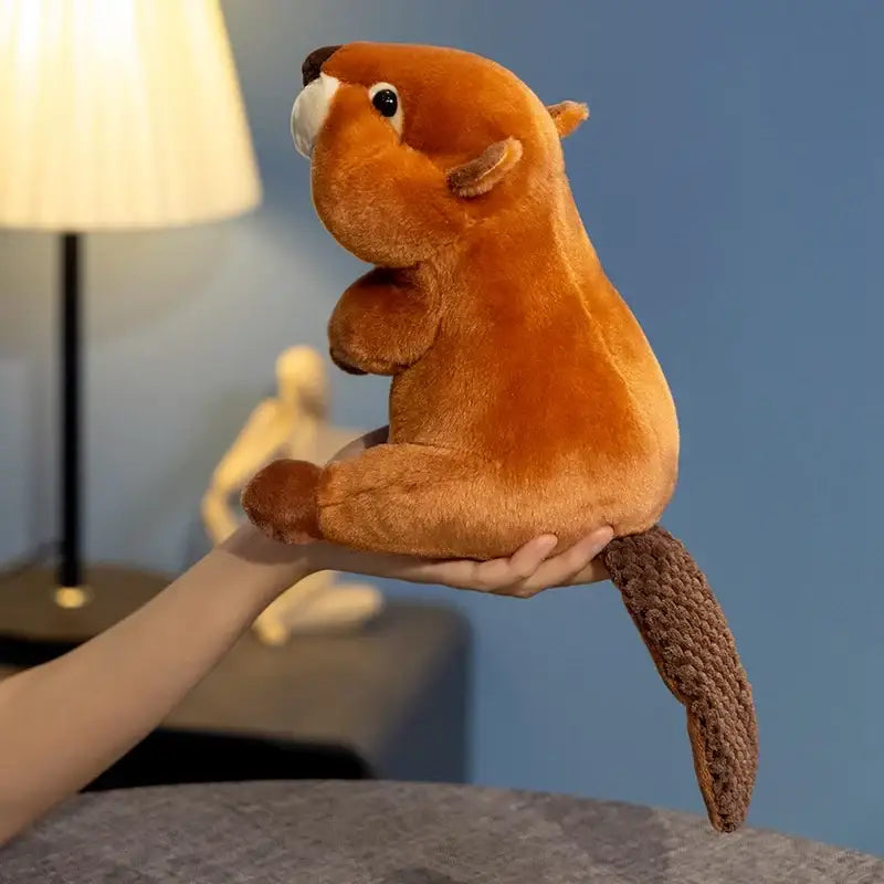 peluche castor canada