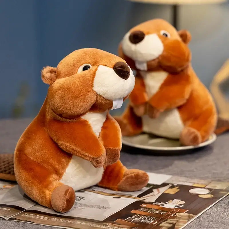peluche castor canada