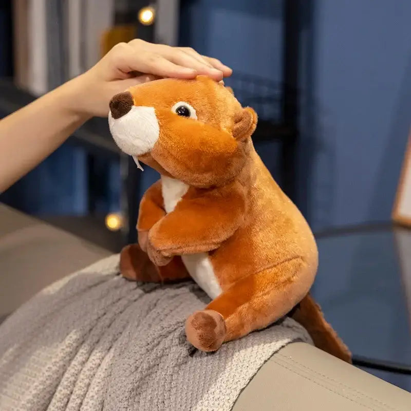 peluche castor canada