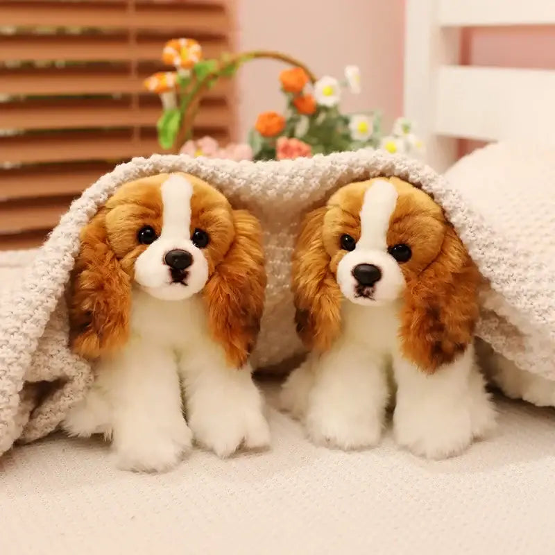 peluche cavalier king charles