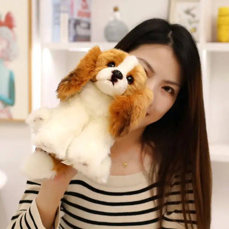 peluche cavalier king charles