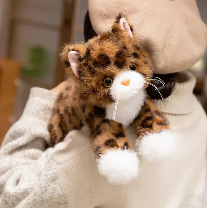 peluche chat marron