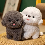peluche chien bichon