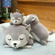 peluche chien corgi