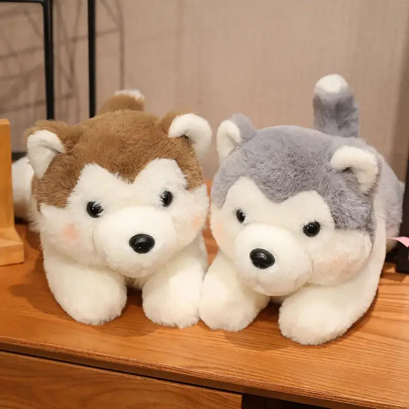 peluche chien husky