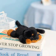 peluche chien rottweiler