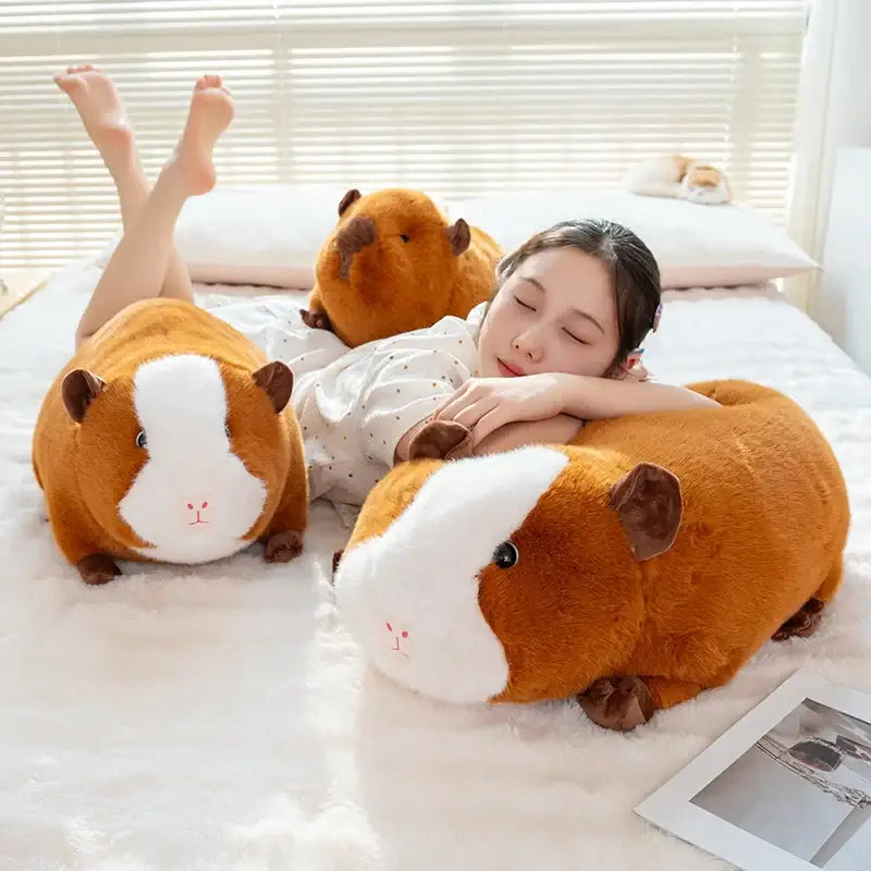 peluche cochon d inde