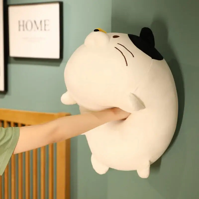 peluche coussin chat