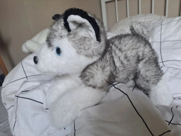 peluche husky grise allongé sur un lit blanc