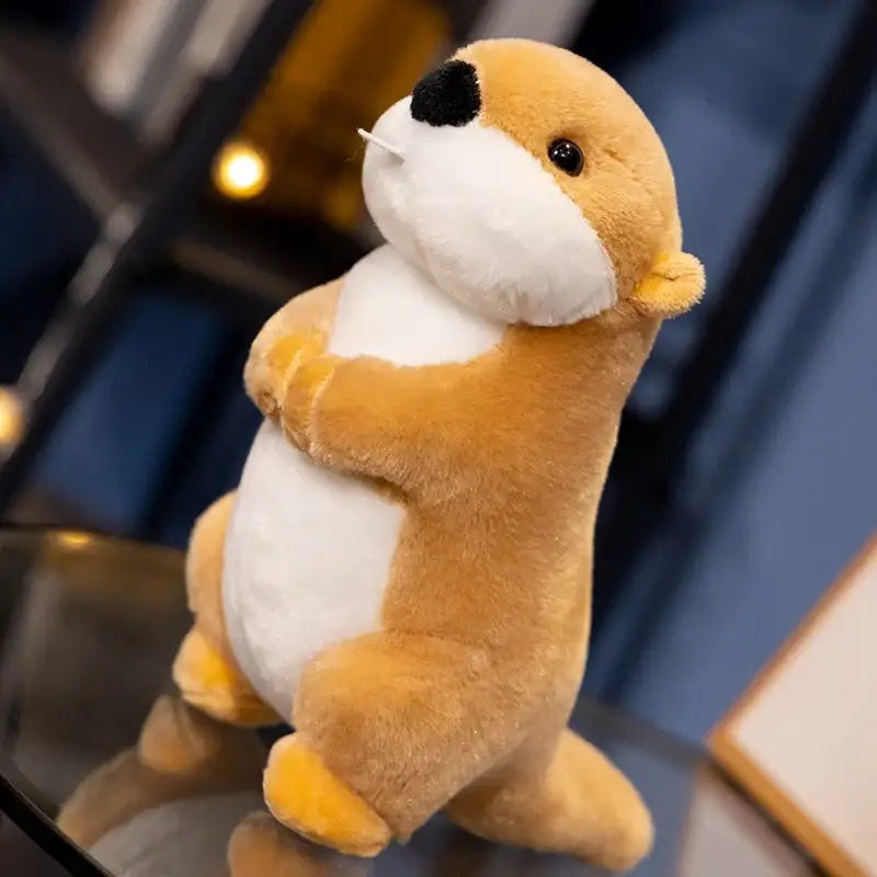 peluche marmotte bebe