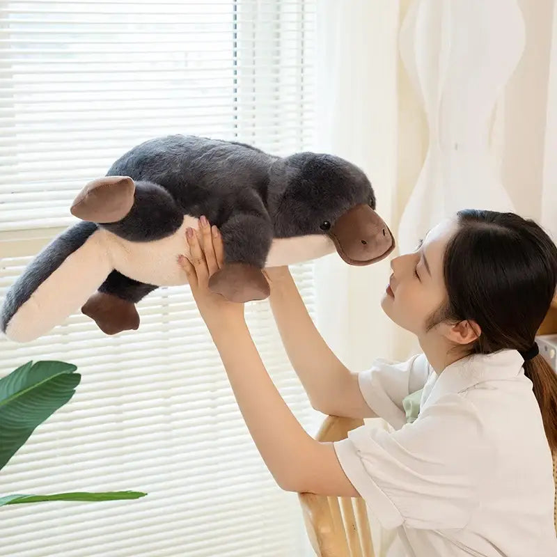 peluche ornithorynque