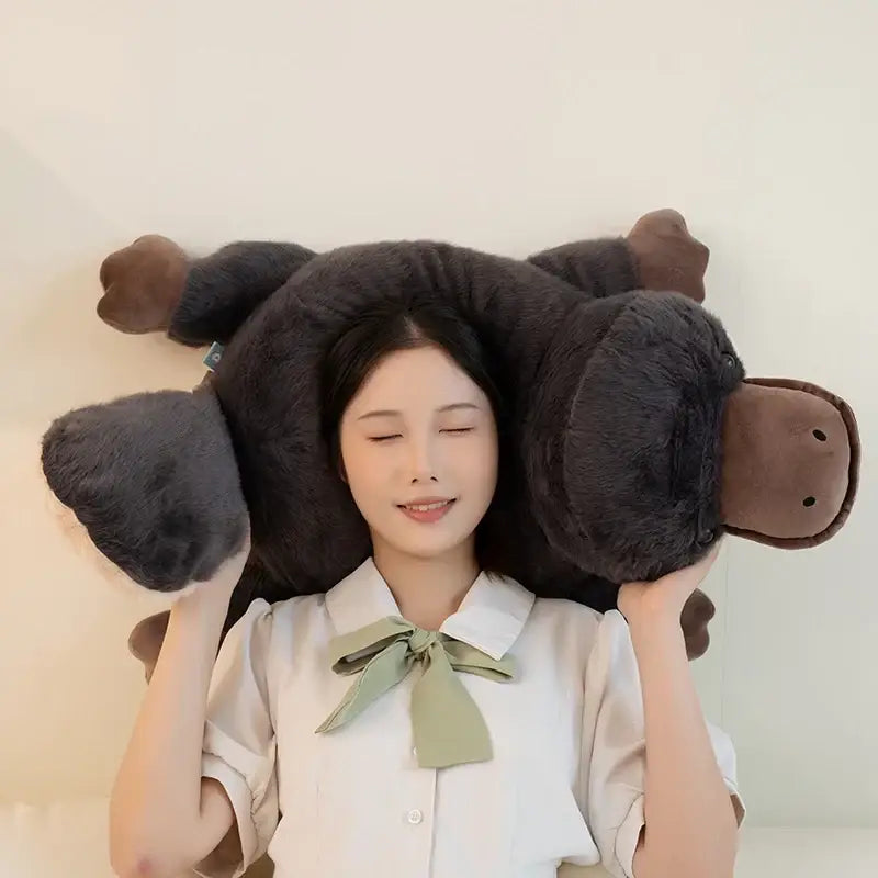peluche ornithorynque