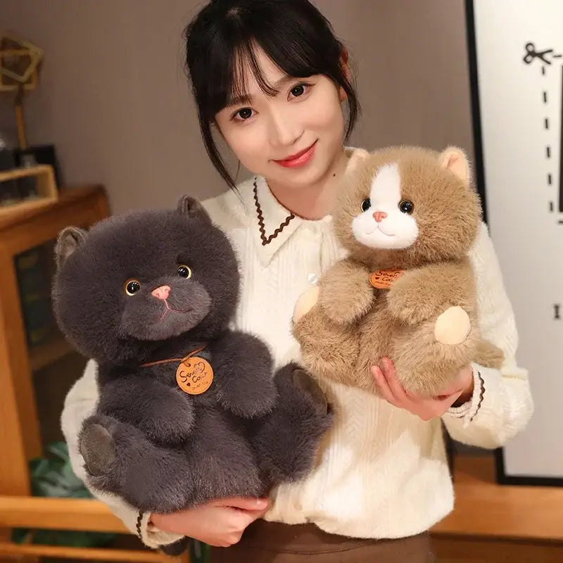 peluche petit chat