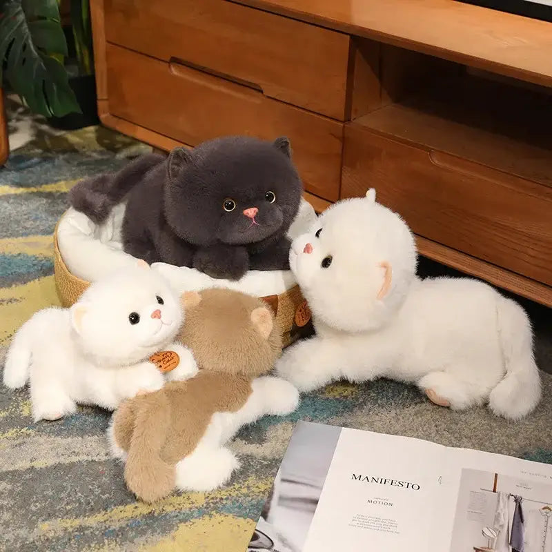 peluche petit chat