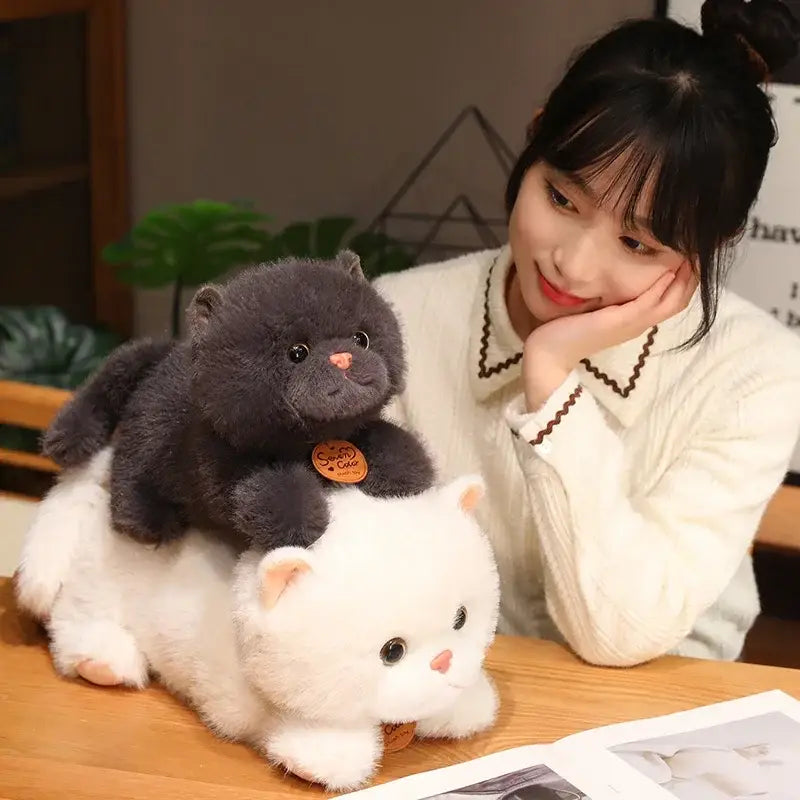 peluche petit chat