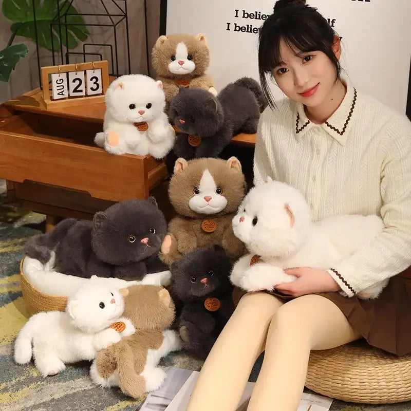 peluche petit chat