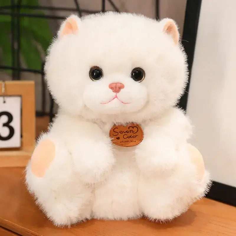 peluche petit chat - Blanc / Assis / 25cm