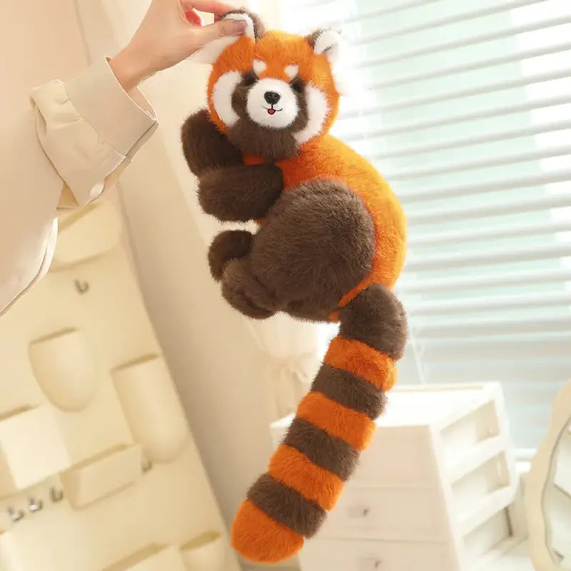 peluche raton laveur xxl