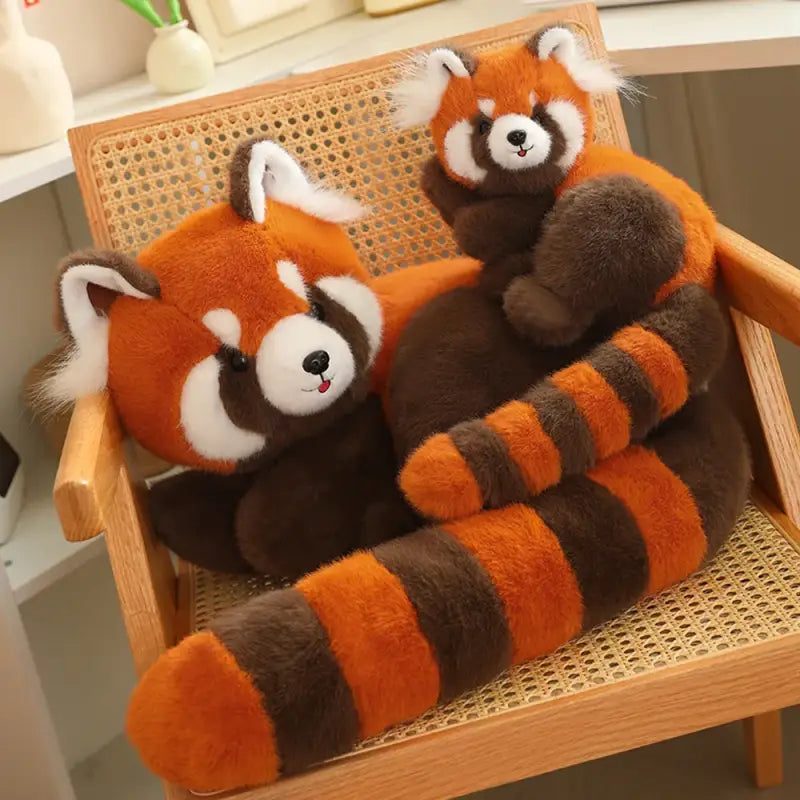 peluche raton laveur xxl