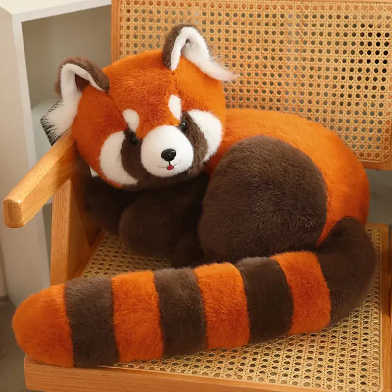 peluche raton laveur xxl
