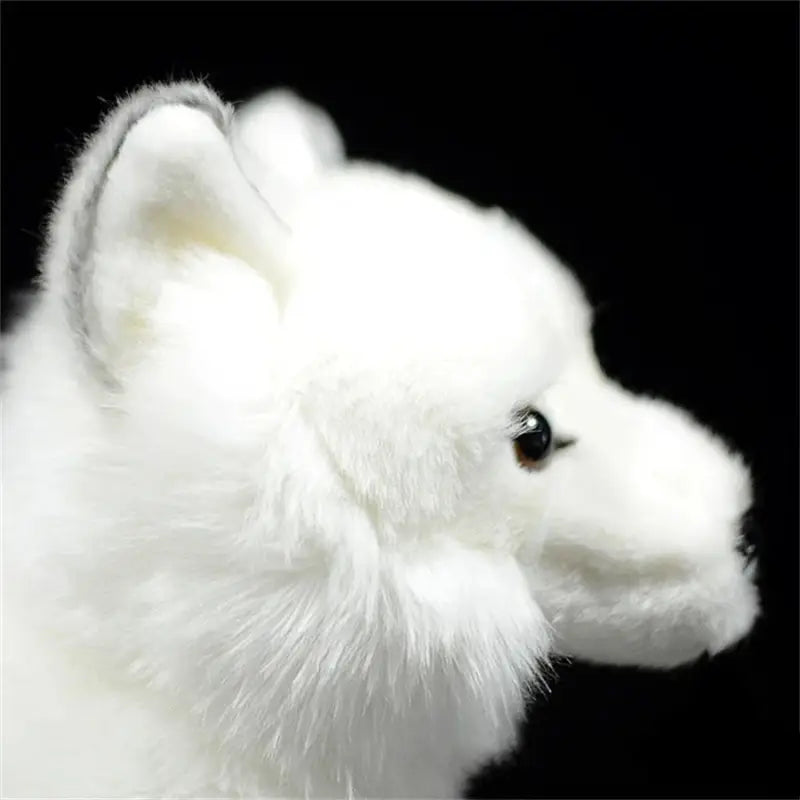 Peluche Renard Blanc - Peluche Renard Blanc