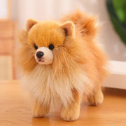 peluche spitz nain