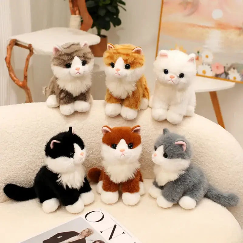 peluches chaton
