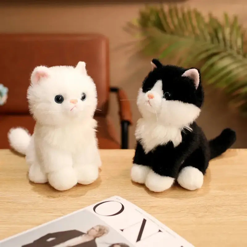peluches chaton
