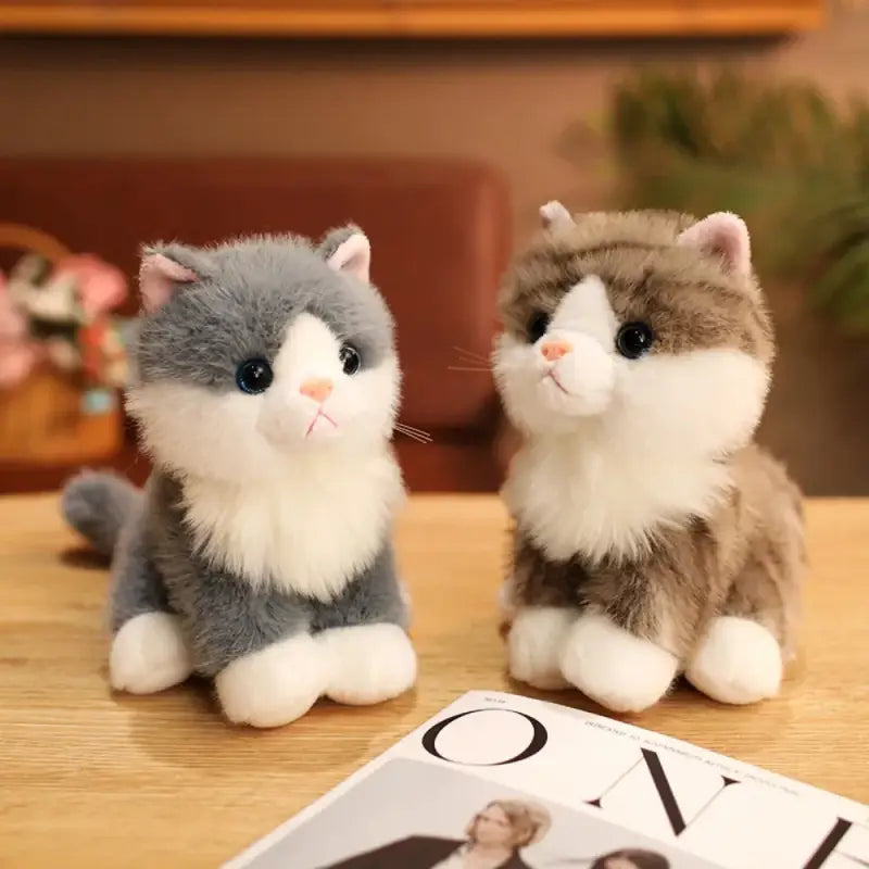 peluches chaton