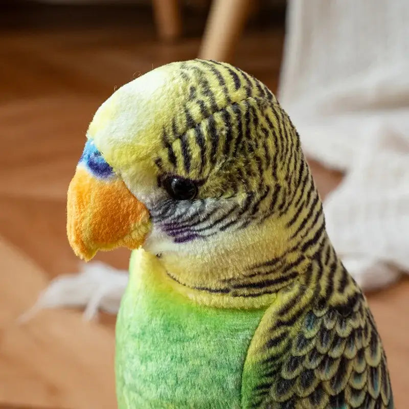 perroquet peluche