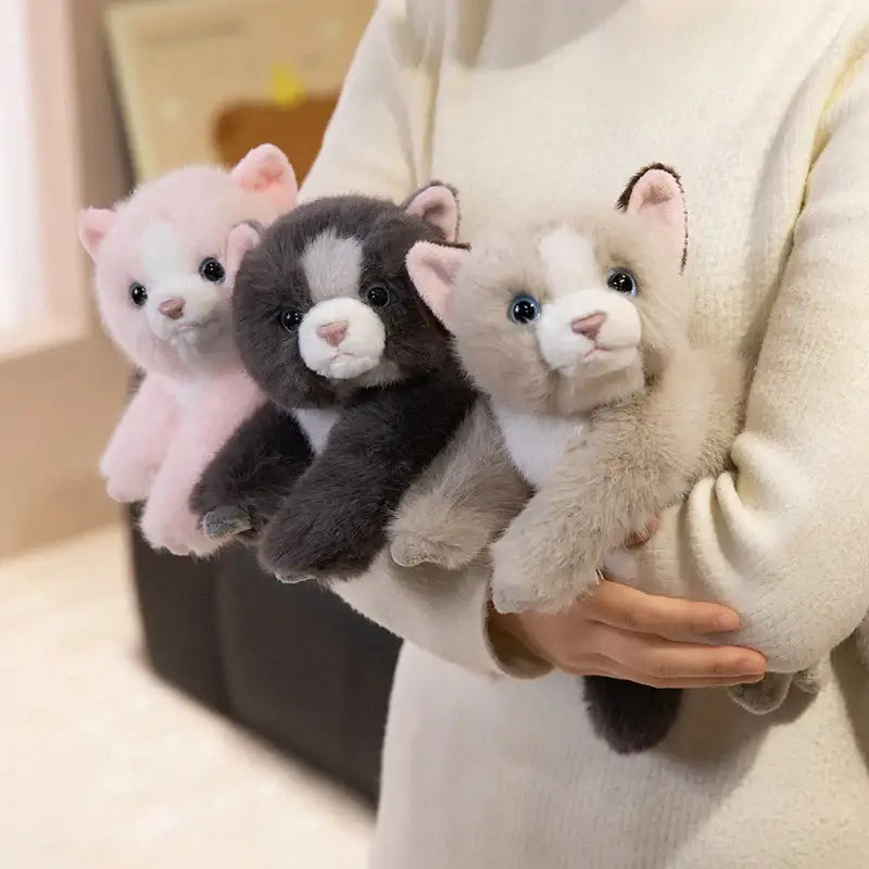 Peluche Chat Persan