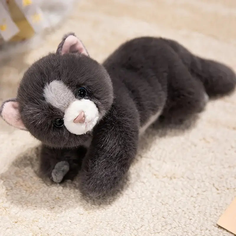 Peluche Chat Persan - Gris