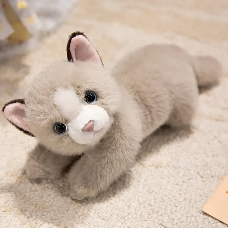 Peluche Chat Persan - Noir
