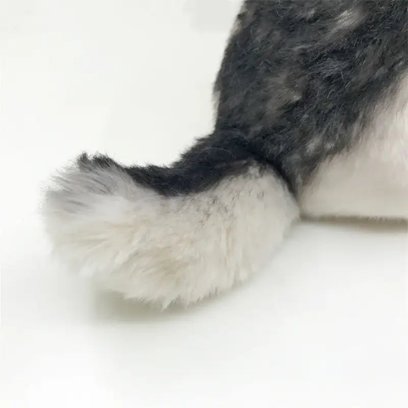 Lopar le Loup Solitaire